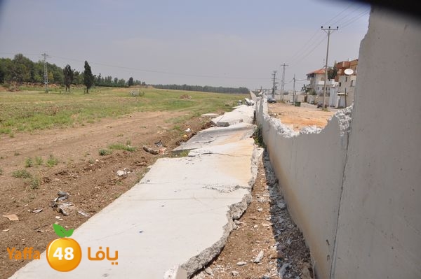 wallludshaneer509 (5).JPG